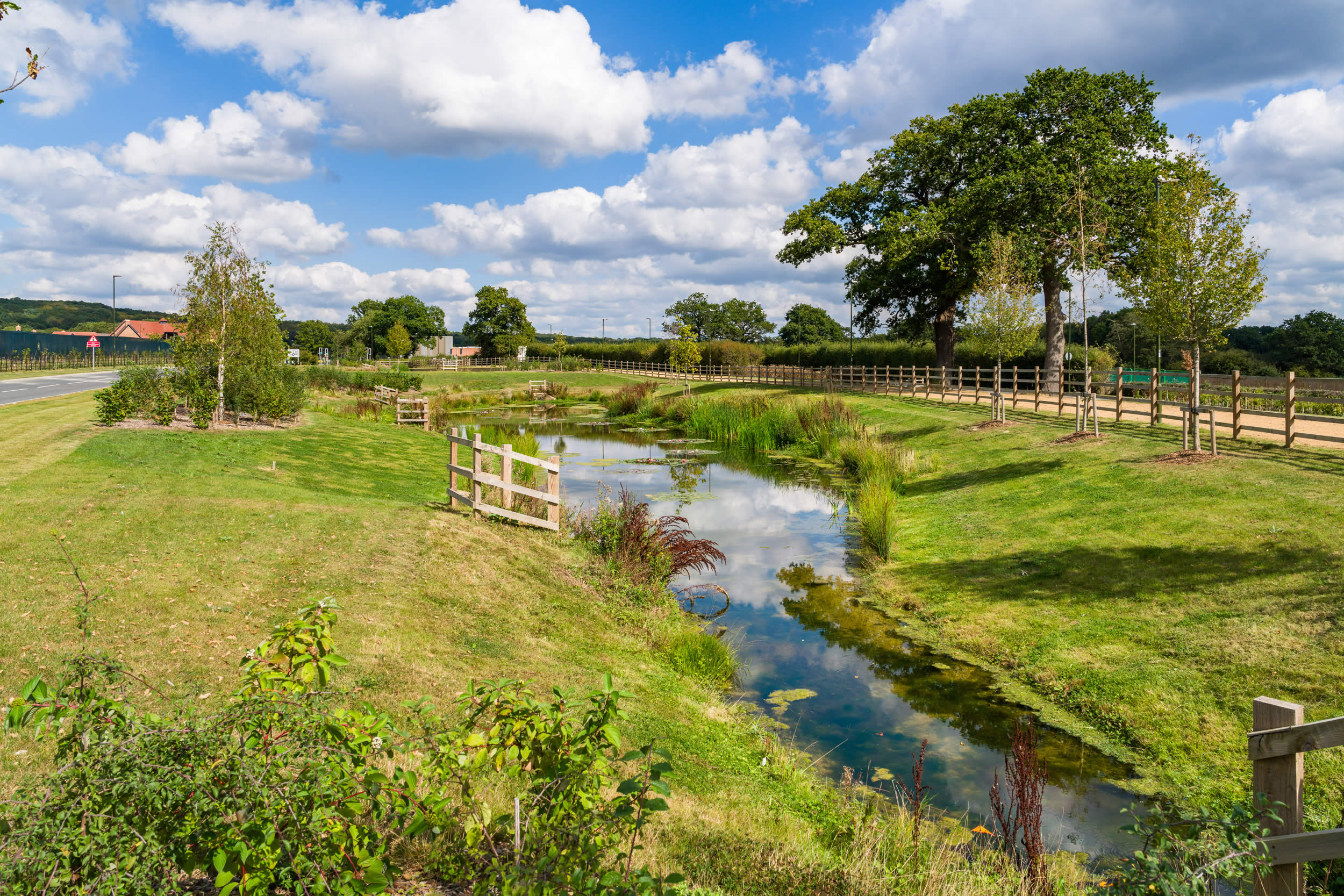 commercial-landscaping-biodiversity-horsham-surrey